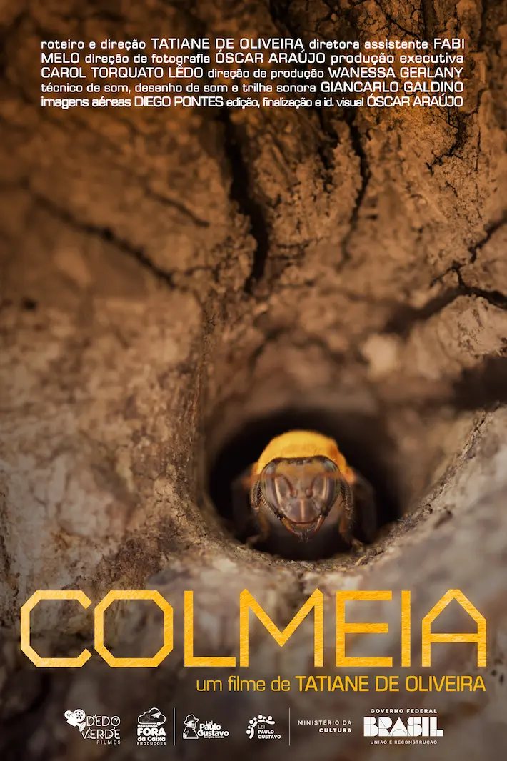 CARTAZ FINAL COLMEIA - Dedo Verde