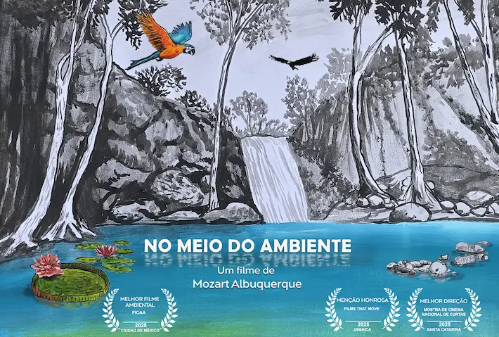 Cartaz No Meio do Ambiente - Mozart Albuquerque Zart